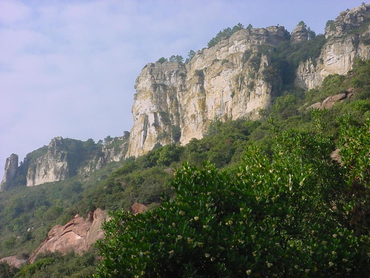 espai Abadia Argentera Bagian luar foto